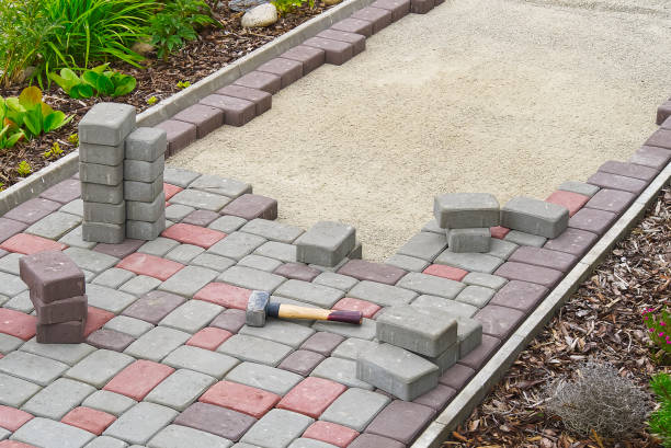 Best Professional Driveway Pavers  in Plainview, MN