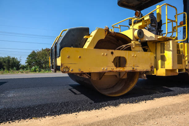 Best Custom Driveway Pavers  in Plainview, MN